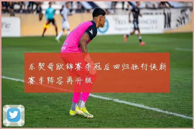 东契奇欧锦赛夺冠后回归独行侠新赛季阵容再升级