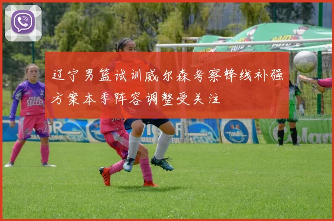 辽宁男篮试训威尔森考察锋线补强方案本季阵容调整受关注